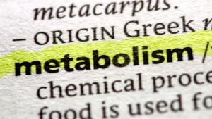 Metabolism